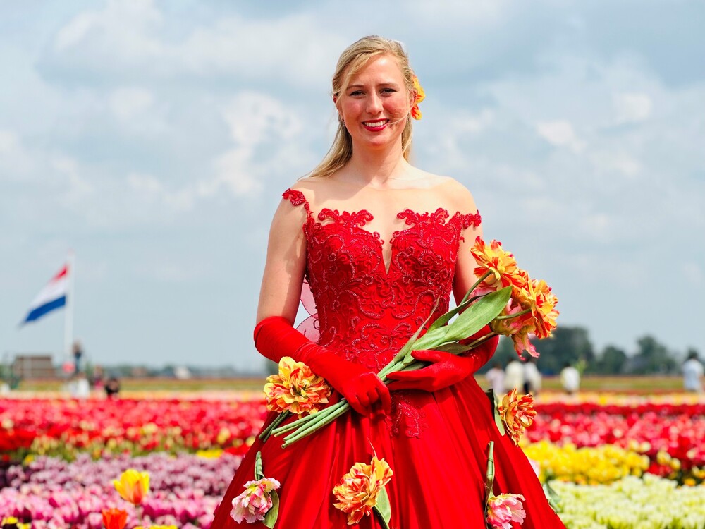 tulip fields amsterdam tour