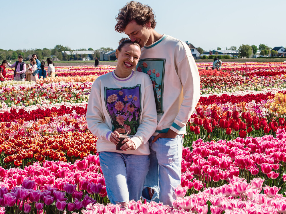 amsterdam tulip tours 2022