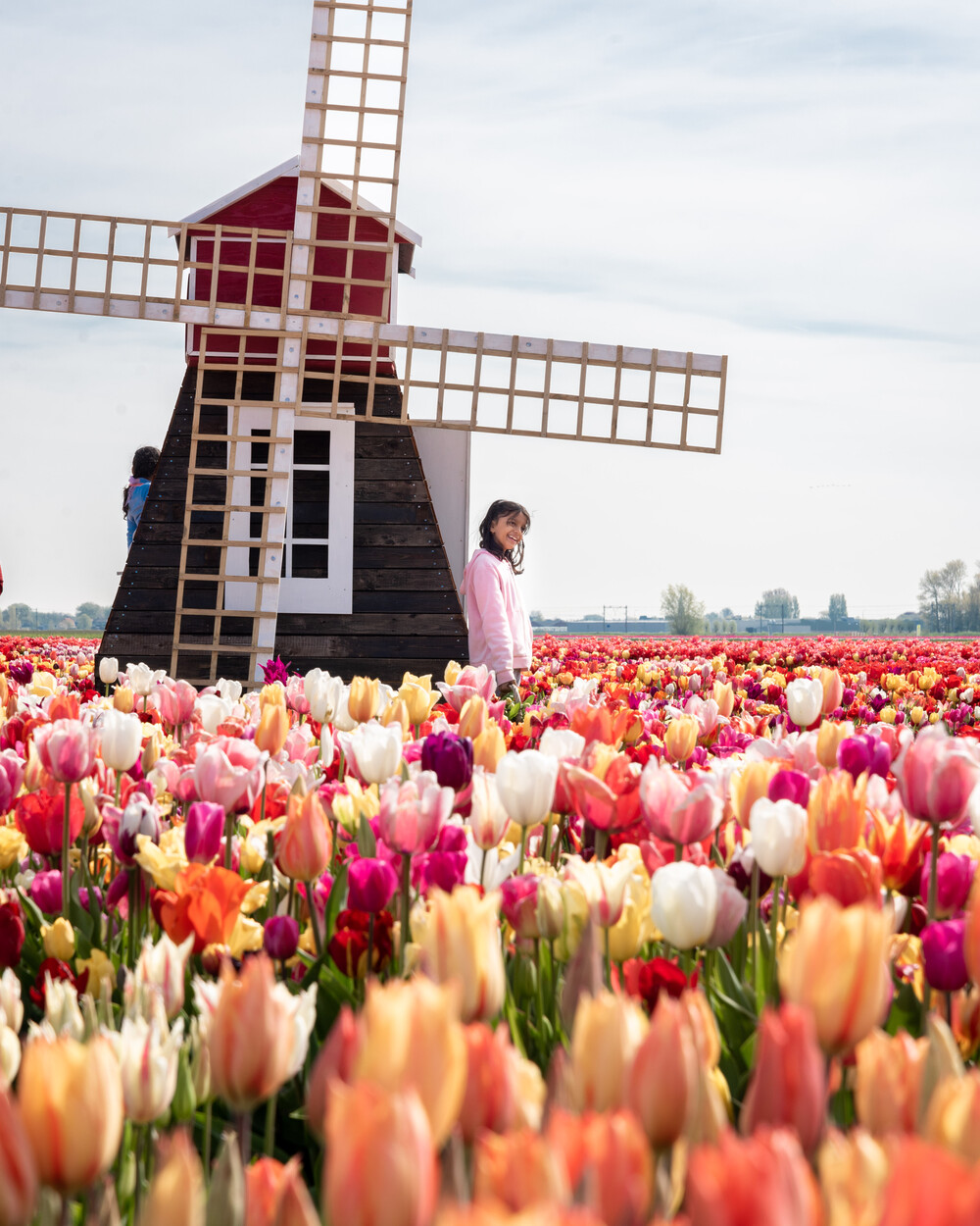 amsterdam tulip tours 2022