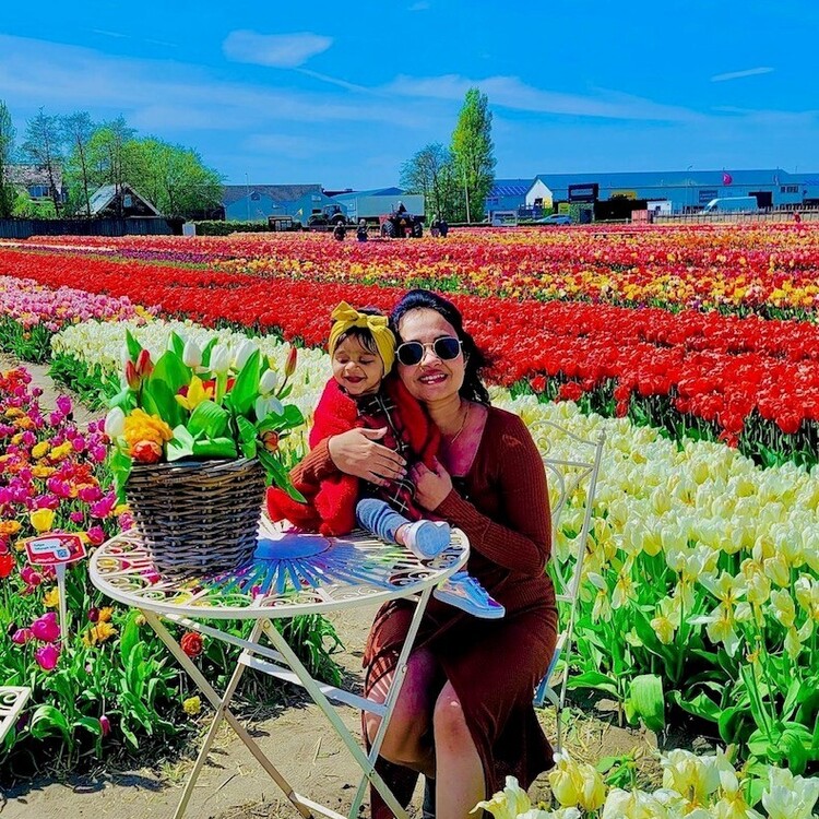 tulip fields amsterdam tour