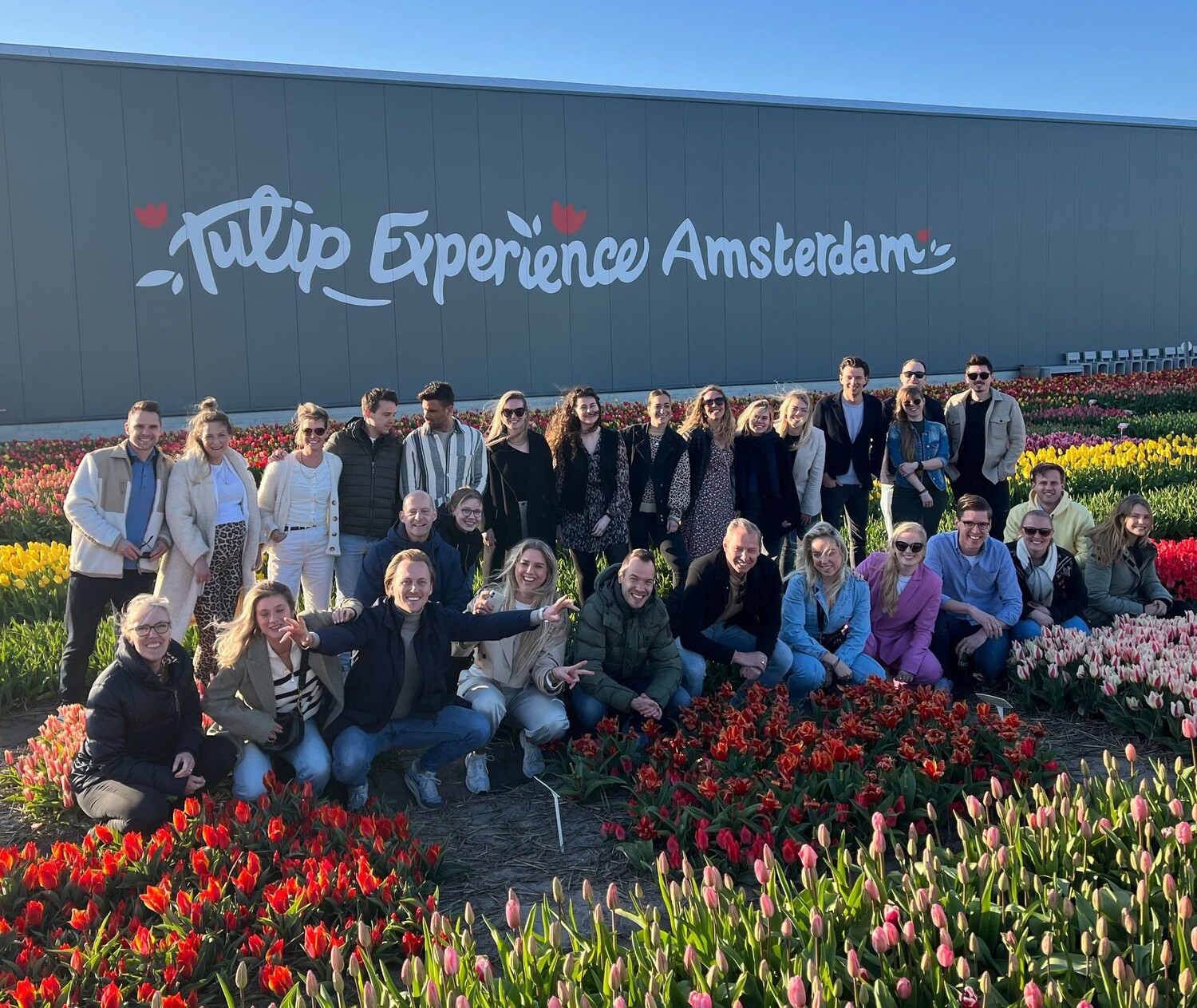 Zakelijke collega's genieten van the Tulip Experience in Amsterdam, waar ze kleurrijke velden van oranje, gele, rode en roze tulpen verkennen. Tulpen park holland