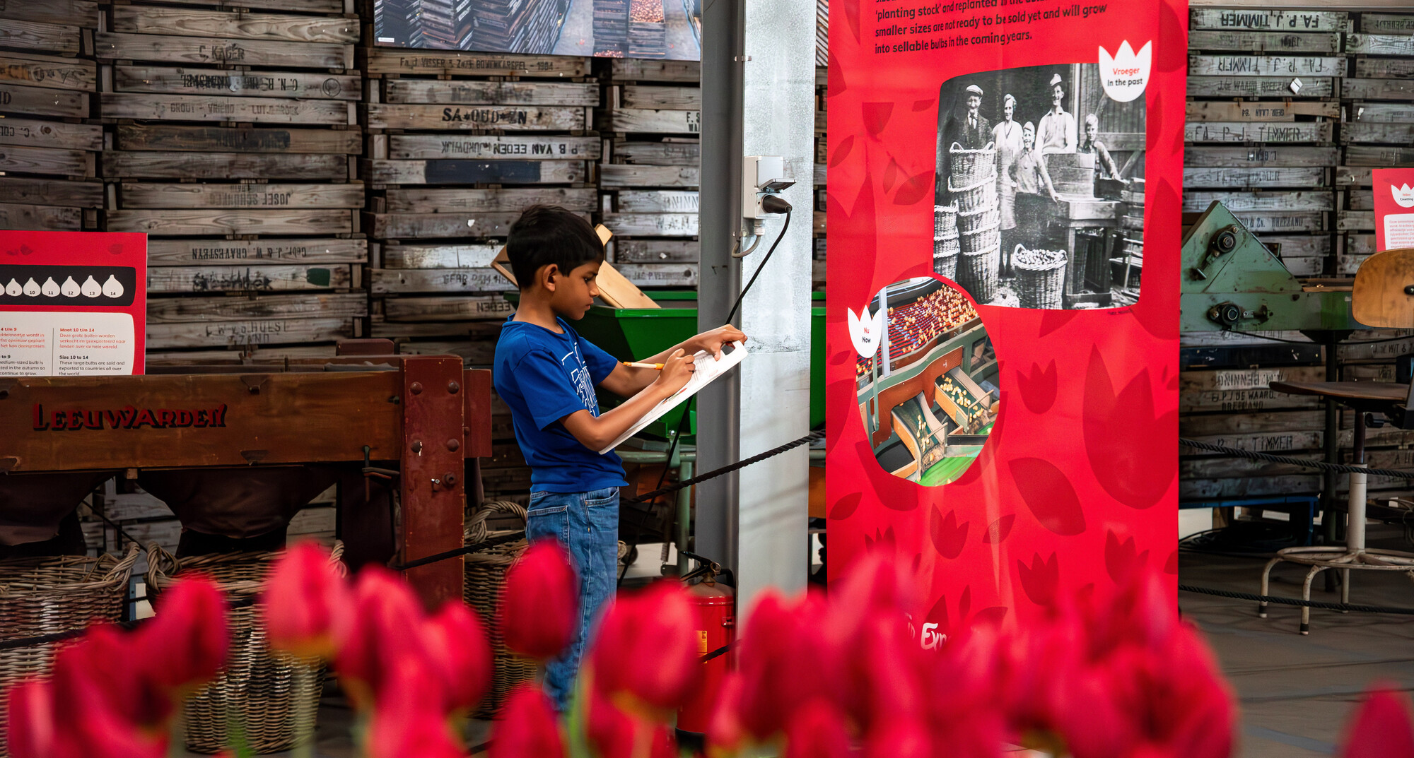 Oplettend kind maakt aantekeningen over de geschiedenis van de tulp tijdens de tuinrondleiding. Studenten leren over de groei van bollen, soorten, machines. gids leidt de klas. Groepskorting beschikbaar voor schoolboekingen.