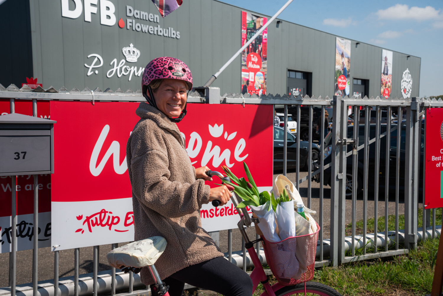 tulip tour amsterdam