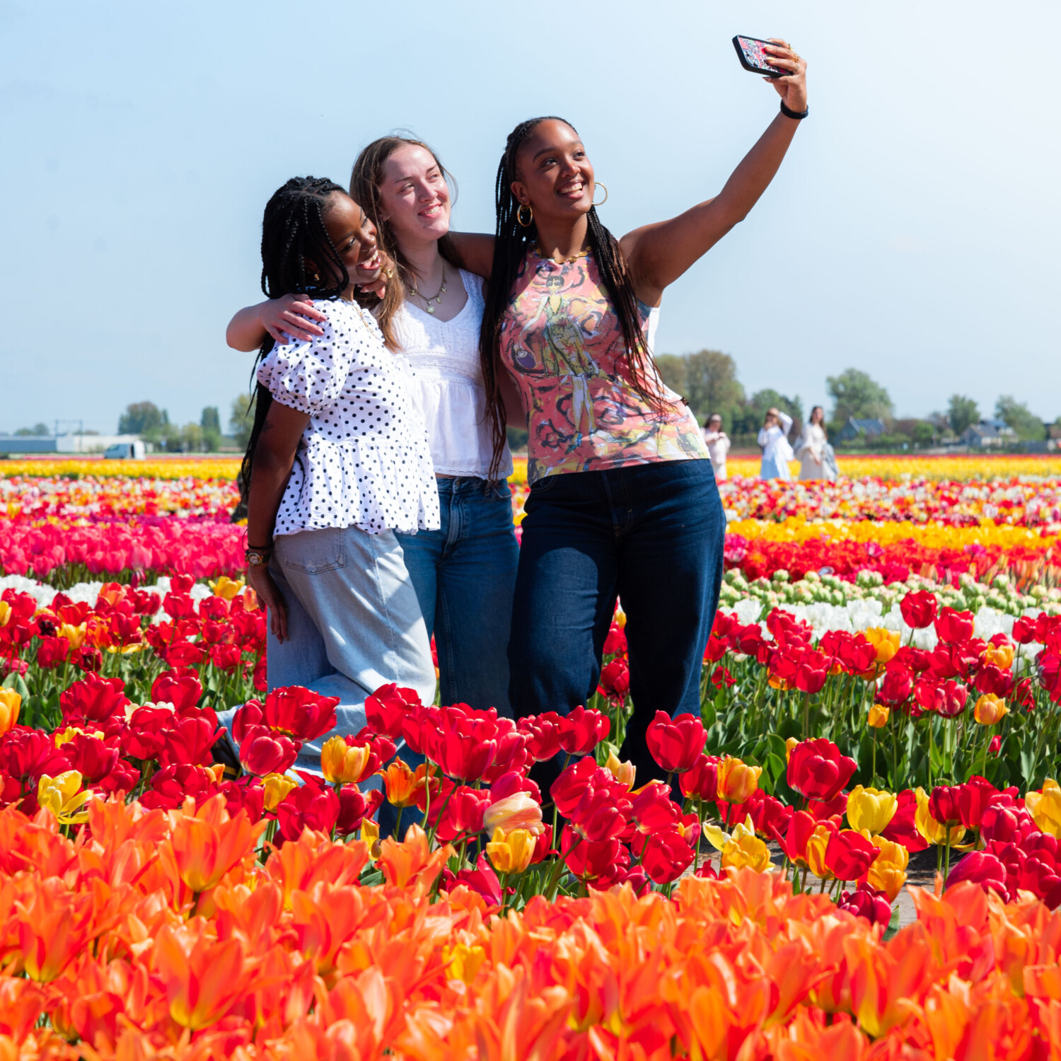 Tulpen foto in tulpenveld