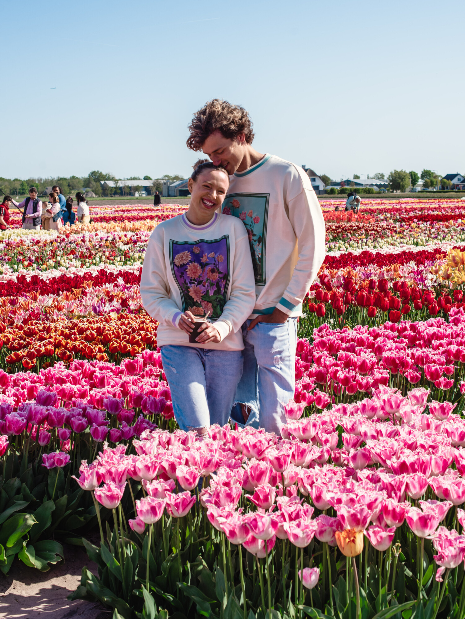 Wanneer bloeien tulpen in Nederland