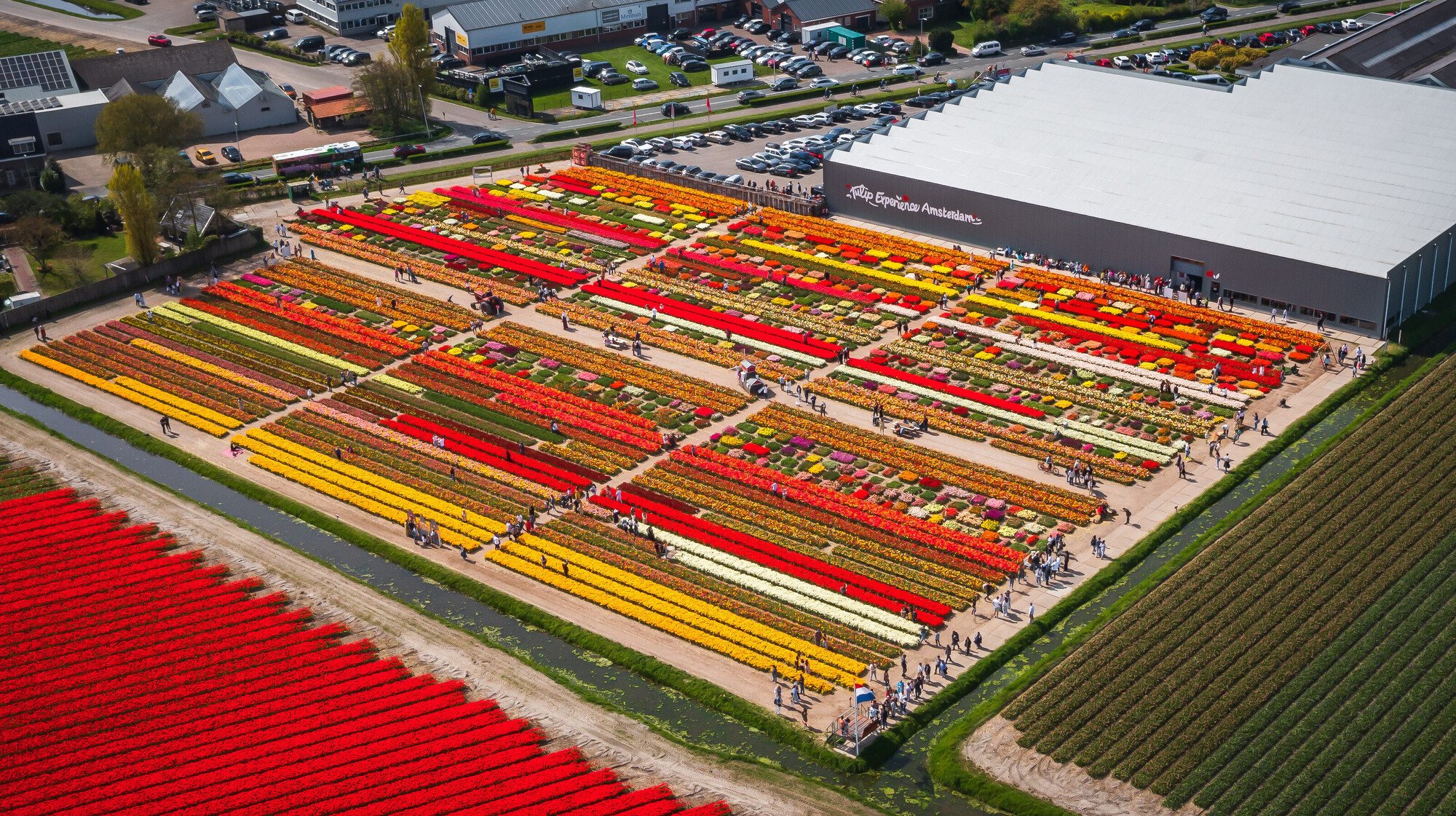 Tulpenvelden en ervaringen in Amsterdam, diverse kleuren, fietstochten, Nederlandse bezienswaardigheden, winkelen, fietsroutes, activiteiten in Nederland.