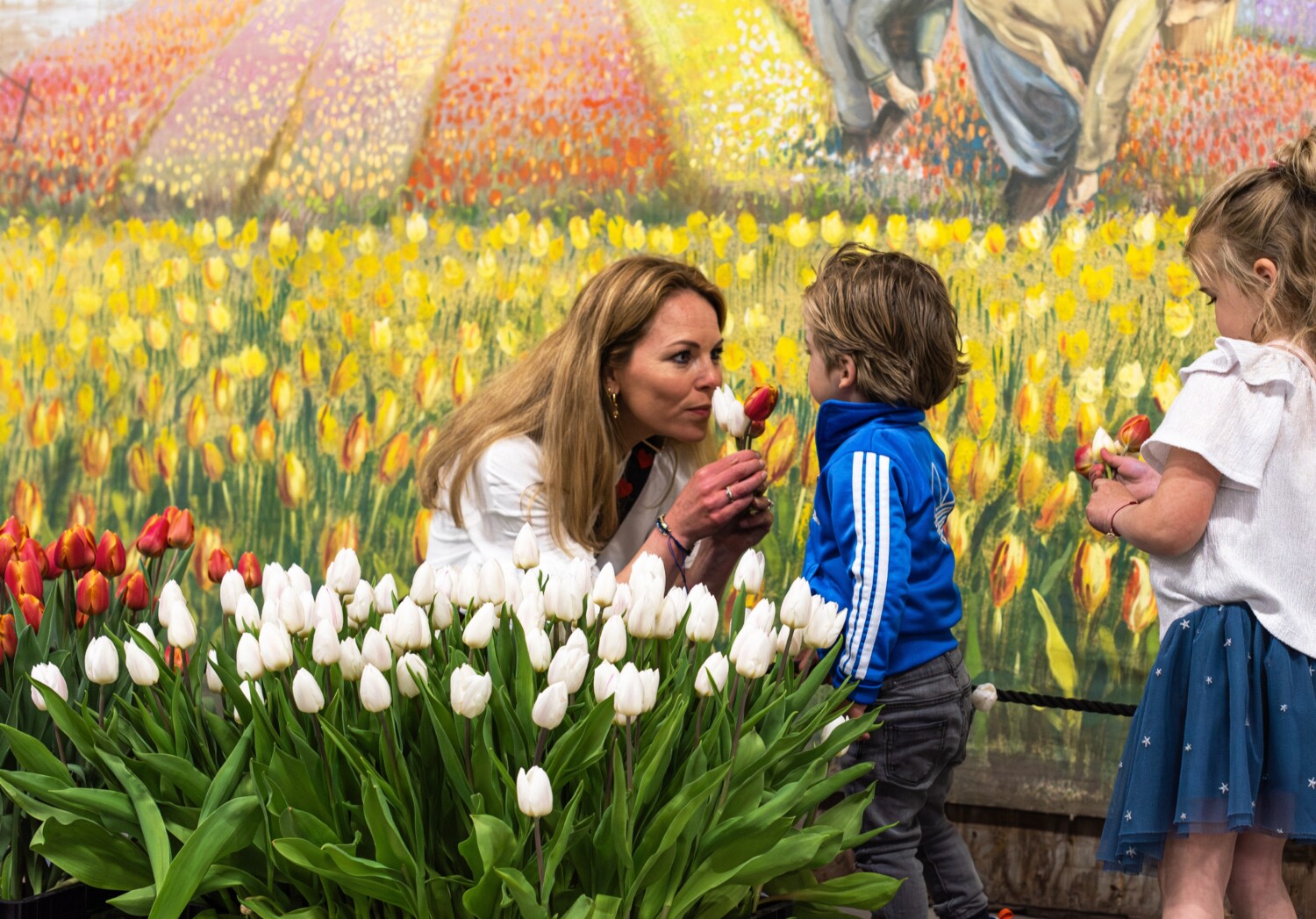 Indoor Picking Garden