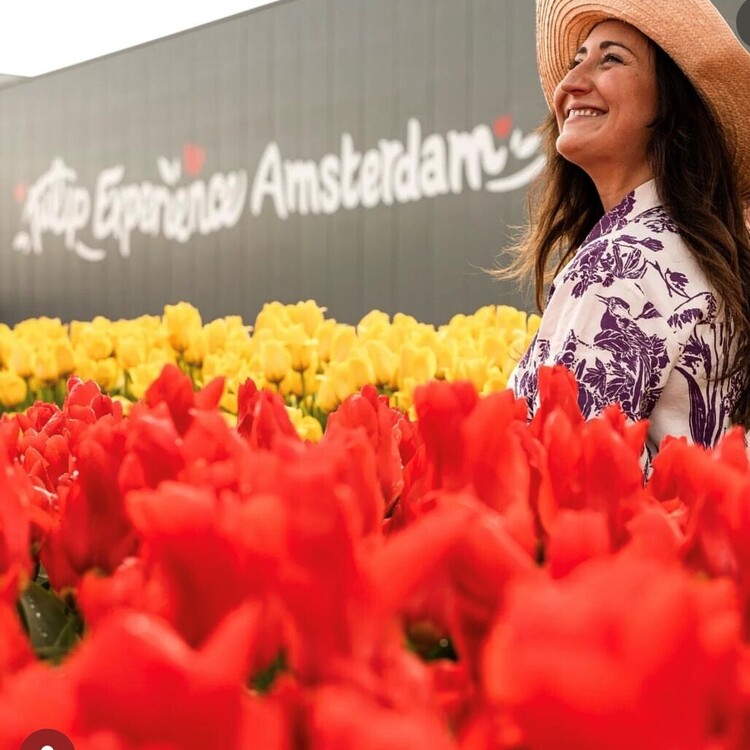 amsterdam tulip tours 2022